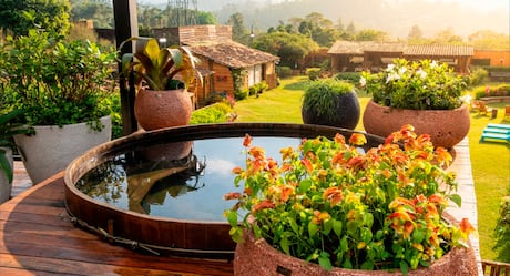 Ana Bruna, Igor Monteiro, Giovanna Gold e Renê Thristan são os visitantes de A Fazenda 18