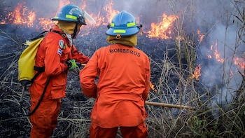 Los incendios en maleza subieron 51% en El Salvador en medio de la sequía y el calor extremo