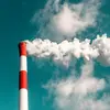 Pasar Karbon Berkualitas Bukan Sekadar Kejar Nilai Ekonomi