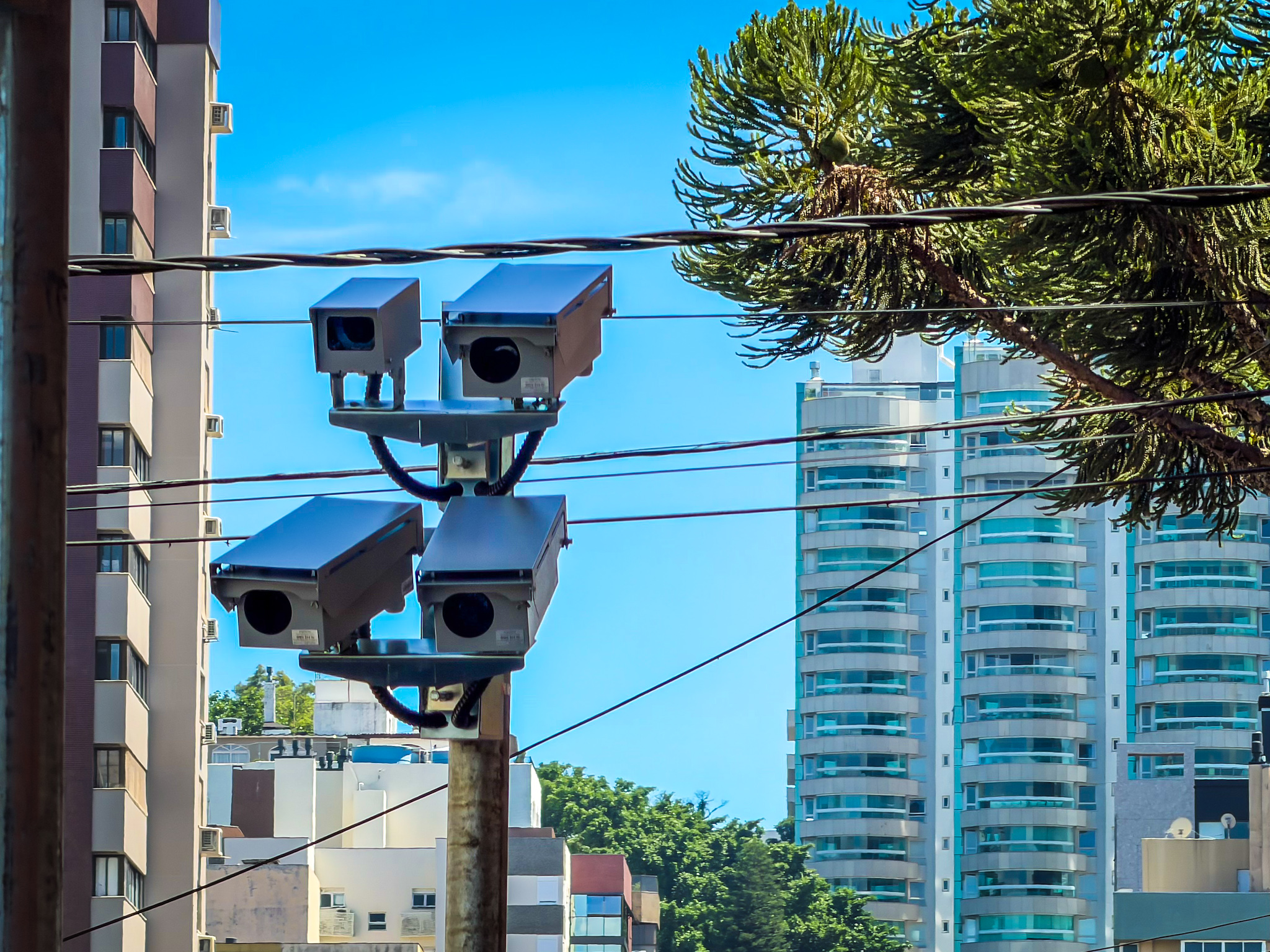 Porto Alegre vai monitorar mais cruzamentos para flagrar quem fura sinal vermelho