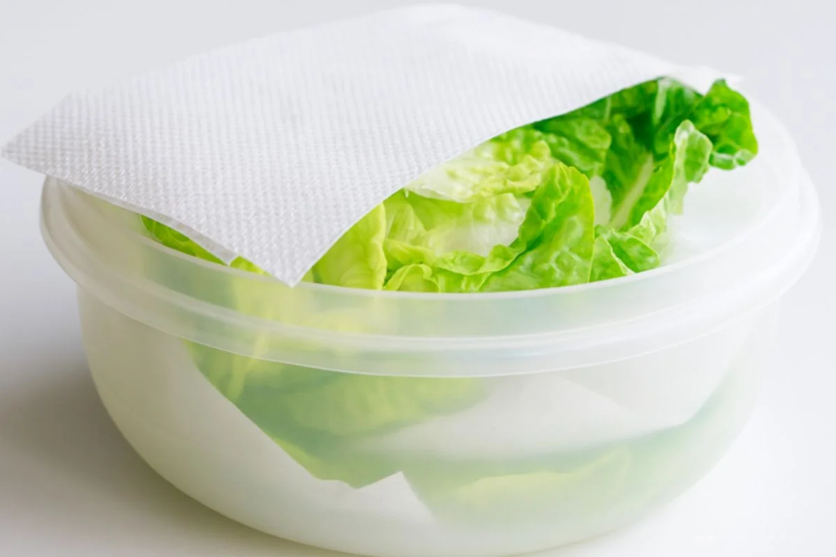 Como lavar e guardar alface para as folhas ficarem crocantes e durarem mais