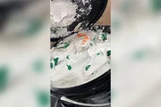 Casal é preso ao buscar cocaína escondida em baldes de argamassa