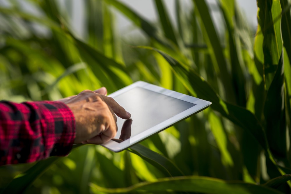 A inteligência artificial pode acelerar resultados positivos na agricultura de precisão — Foto: Reprodução/Freepik